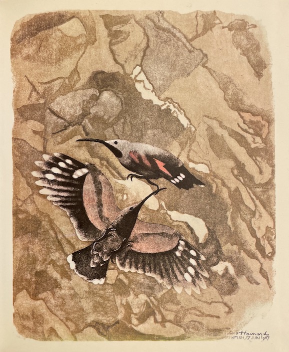 HAINARD (Robert) Chasse au crayon. En dessinant les bêtes sauvages. Neuchâtel, Baconnière, 1972. – Image 2