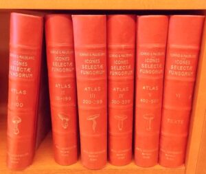 KONRAD (Paul) & MAUBLANC (André) Icones selectae Fungorum. Paris, Paul Lechevalier, 1924-1937.