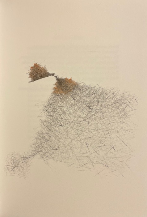 BONHOTE (Nicolas) - EVRARD (André) Tout résonne. Lutry, Editions d'Orzens, 2002. – Image 4