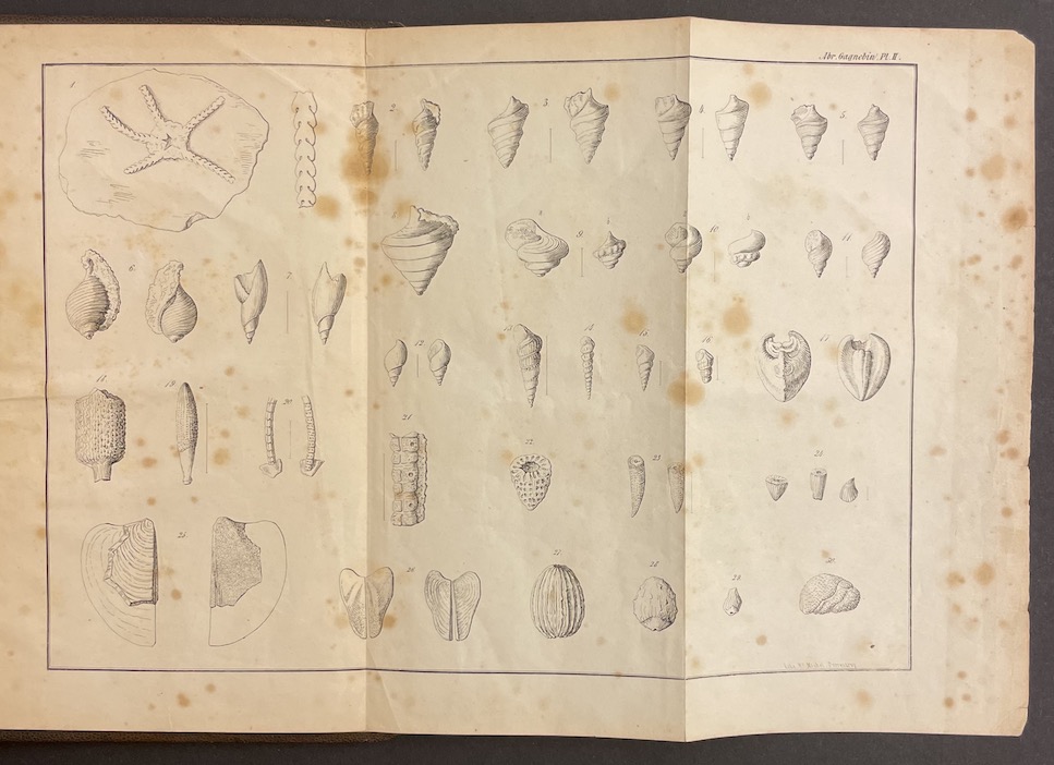 THURMANN (Jules) Abraham Gagnebin de La Ferrière. Fragment pour servir à l'histoire scientifique du Jura bernois & Neuchâtelois pendant le siècle dernier. Avec un appendice géologique. Porrentruy, Imprimerie et Lithographie de Victor Michel, 1851. – Image 4