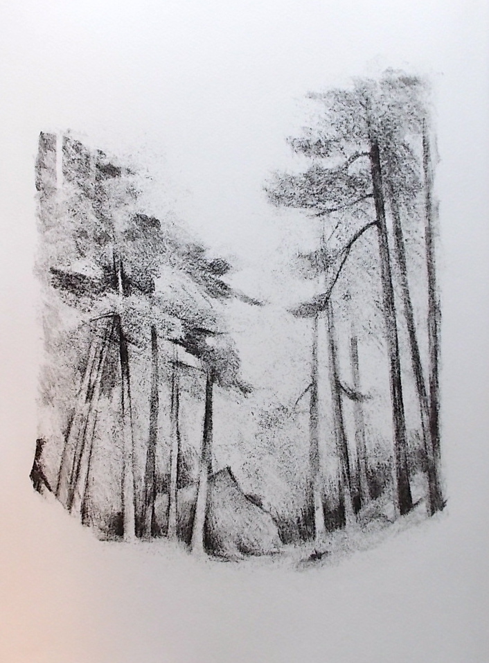 PALEZIEUX (Gérard de) - CHAPPAZ (Maurice) Verdures de la nuit. Lausanne, Pierre Gonin, 1992. – Image 3