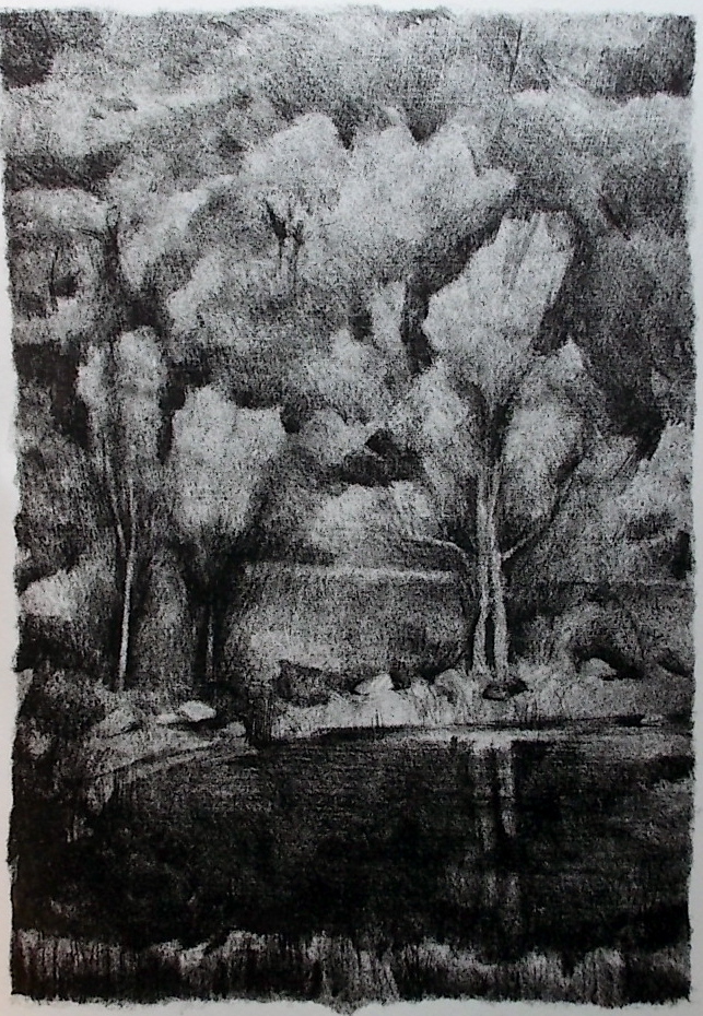 PALEZIEUX (Gérard de) - CHAPPAZ (Maurice) Verdures de la nuit. Lausanne, Pierre Gonin, 1992. – Image 4