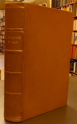 [DORE] - SAINTINE (X.-B.) La mythologie du Rhin, et les contes de la Mère-Grand'. Paris, Librairie de L. Hachette et Cie, 1862.