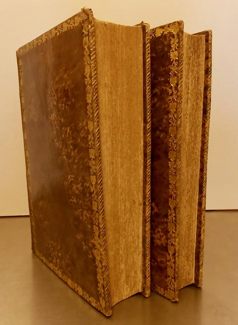 MAC CARTHY (J.) Nouveau dictionnaire géographique universel, contenant la description détaillée des Régions, Empires, Royaumes, Républiques, Provinces, Villes, Bourgs, Villages, Océans, Mers, Iles, Ports, Lacs, Canaux, Caps, Montagnes, etc., des différentes parties du Monde; ainsi que tout ce qui a rapport à la forme des gouvernements, aux moeurs et aux religions de leurs divers habitants... Paris, Chez l'Auteur-Editeur - A la Librairie Nationale et Etrangère, 1824. – Image 7