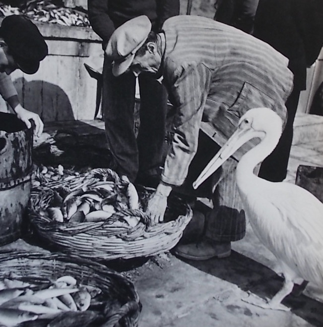 CRANAKI (Mimica) / PAPAIOANNOU (Voula) Iles grecques. Lausanne, Guilde du Livre (coll. Album-Photo, 1956. – Image 4