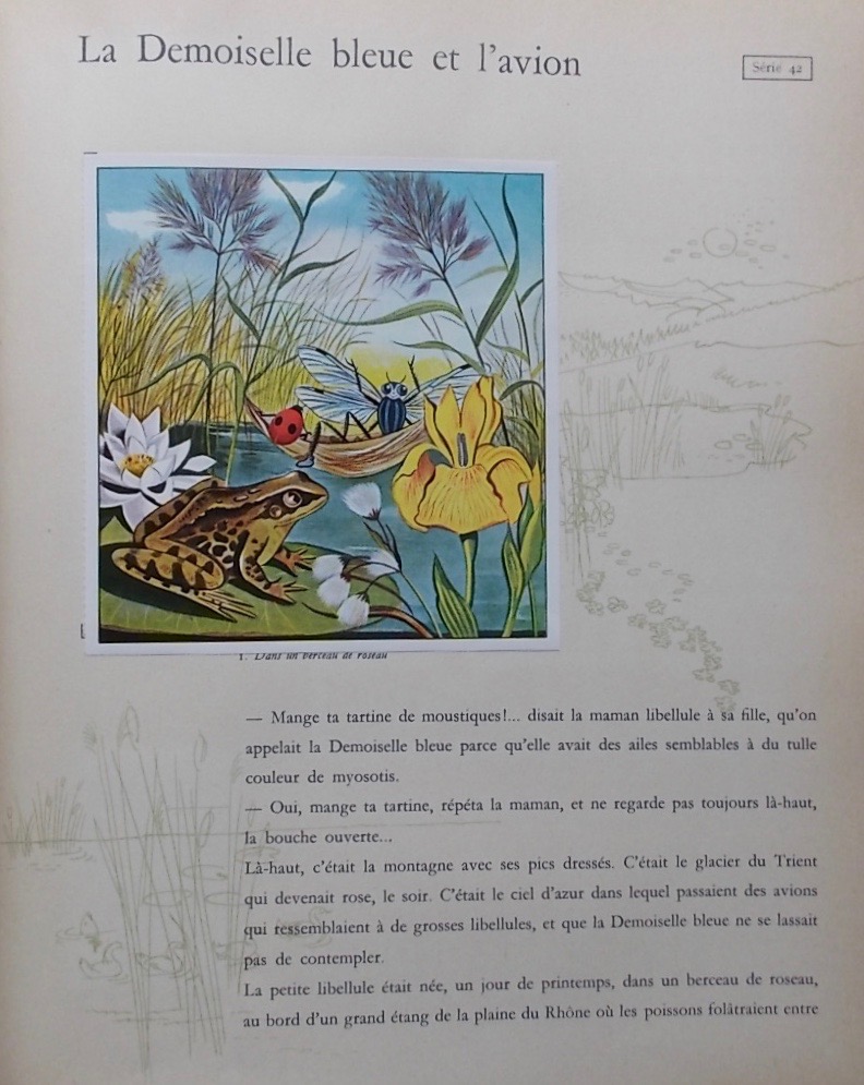 COLLECTIF 24 contes d'animaux. Volume II. Vevey, Nestlé-Peter-Cailler-Kohler, 1957. – Image 4