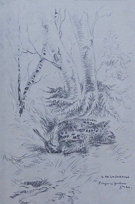 LA FUYE (Maurice de) - Vicomte d'APPLAINCOURT - KERMADEC (Ronan de) - BROISSIA (Comte Pierre de) La Bécasse à Grande Quête. Blois, Grande Imprimerie de Blois, 1925. – Image 3