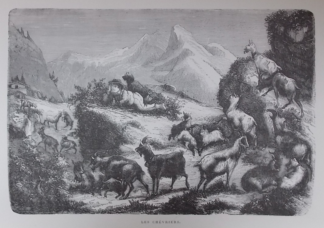 LAPORTE (Albert) En Suisse le sac au dos. Paris, Théodore Lefevre, s.d. (env.1870). – Image 5