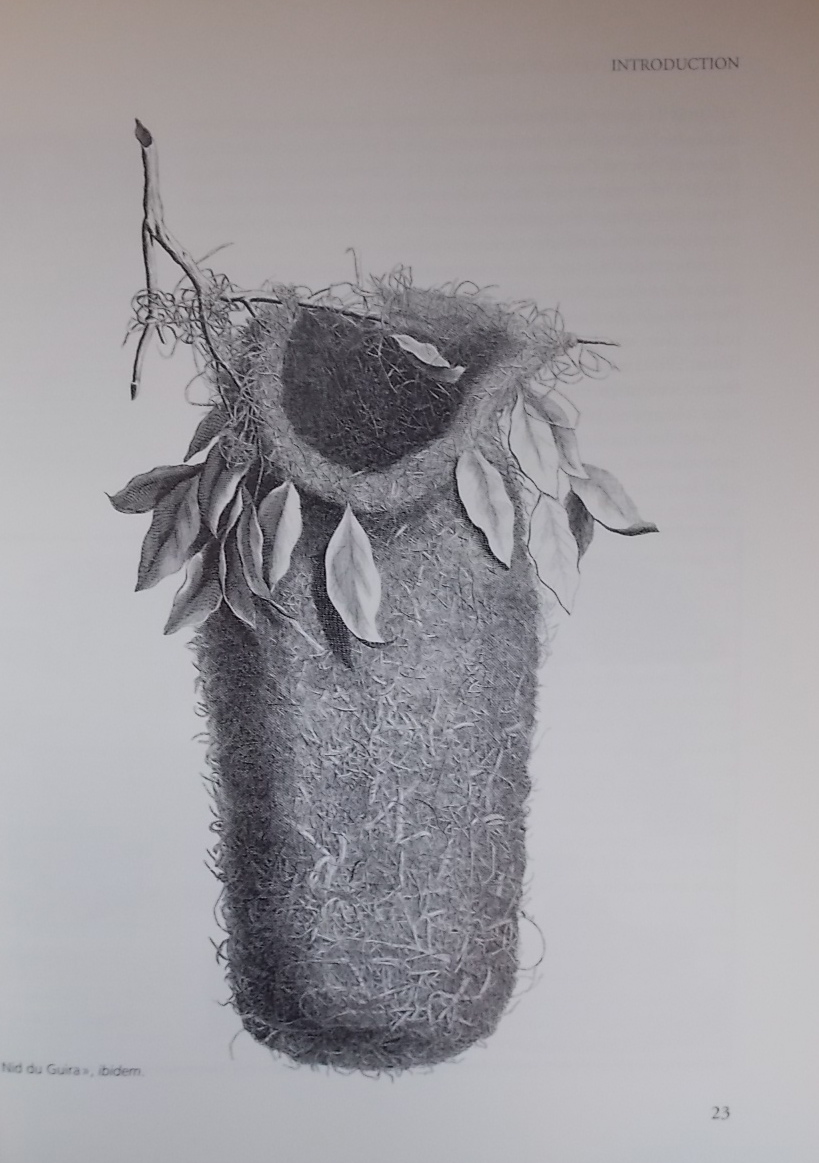 SCHLUP (Michel) et al. Grands livres d'oiseaux illustrés de la Renaissance au XIXe siècle. Neuchâtel, BPU (coll. Patrimoine de la Bibliothèque Publique et Universitaire n° 2), 1999. – Image 3