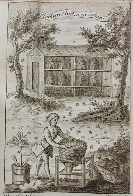 SIMON (Jean-Baptiste) le gouvernement admirable; ou la République des Abeilles, et les moyens d'en tirer une grande utilité. A Paris, chez Nyon, 1758. – Image 2