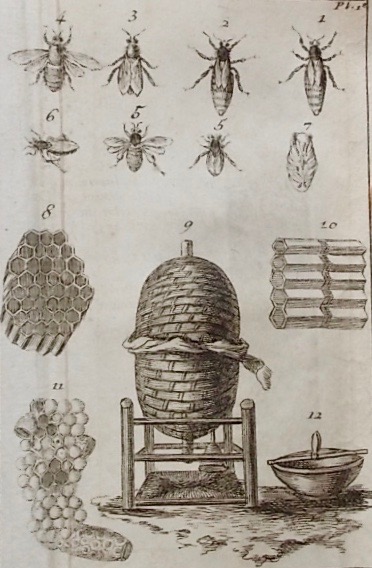 SIMON (Jean-Baptiste) le gouvernement admirable; ou la République des Abeilles, et les moyens d'en tirer une grande utilité. A Paris, chez Nyon, 1758. – Image 4