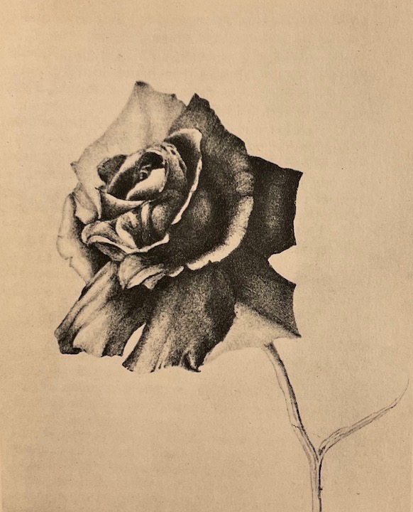 FONTAINE (Anne) Henri Mondor. Paris, Grasset, 1960. – Image 5