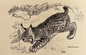 HAINARD (Robert) - QUARTIER (Archibald) Faune neuchâteloise, mammifères sauvages. Neuchâtel, Centre d'Arts Graphiques (coll. Beautés du patrimoine neuchâtelois), 1976.