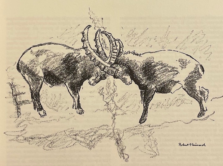 HAINARD (Robert) - QUARTIER (Archibald) Faune neuchâteloise, mammifères sauvages. Neuchâtel, Centre d'Arts Graphiques (coll. Beautés du patrimoine neuchâtelois), 1976. – Image 2