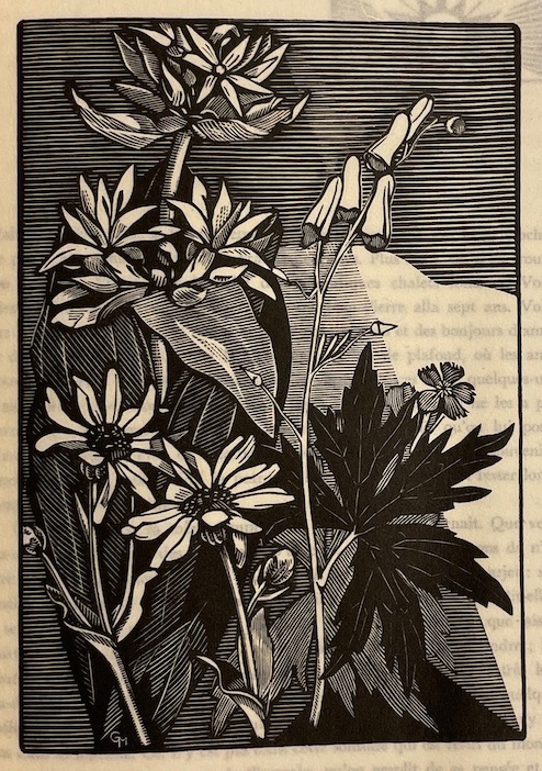 ZIEGLER (Henri de) La voix de la terre. Lausanne, Editions des Terreaux, 1952. – Image 3