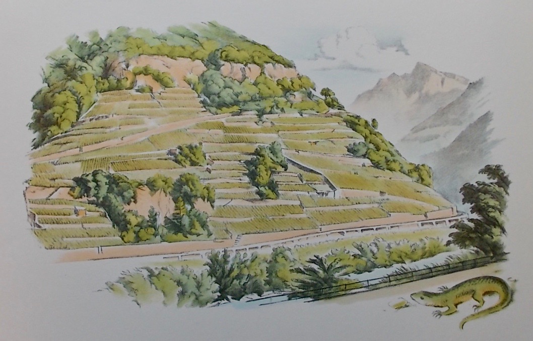 ANEX (Paul) Henri Badoux, Aigle. Album d'un demi-siècle, ou cinquante ans de tradition mis en texte et en images (1908-1958). Lausanne, Roth & Sauter, 1958. – Image 2