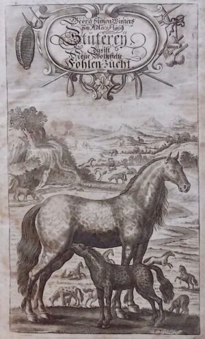 WINTER (George-Simon) [Georg Simon] Tractatio nova et auctior de re equaria complectens partes tres. - Neuer und vermehrter Tractat von der Stuteren oder fohlenzucht / Trattato nuovo e aumentato del far la razza di cavalli / Traité nouveau et augmenté pour faire race de chevaux. Nuremberg, Wolfgang Moritz Endtern, 1703.