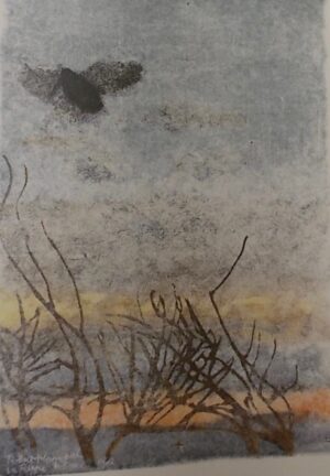 HAINARD (Robert) Images du Jura sauvage. Genève, Tribune Editions, 1987.