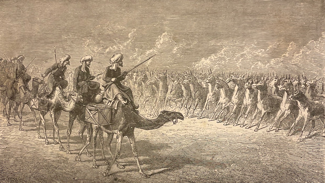 VAMBERY (Arminius) Voyages d'un faux derviche dans l'Asie centrale. De Téhéran à Khiva, Bokhara et Samarcand par le grand désert Turkoman. Paris, Hachette & Cie, 1865. – Image 4