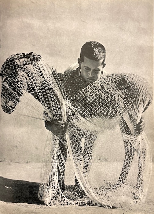 PREVERT (Jacques) & LAMORISSE (Albert) Bim le petit âne. Paris, Hachette, 1964. – Image 3