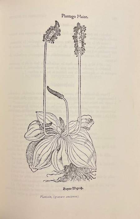 SCHINDELHOLZ (Georges) Grimoires et secrets. Porrentruy, Editions Jurassiennes, 1973. – Image 3