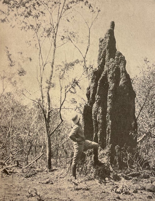 HAARDT (Georges-Marie) & AUDOUIN-DUBREUIL (Louis) La Croisière Noire. Expédition Citroën Centre-Afrique. Paris, Plon, 1927.. – Image 3