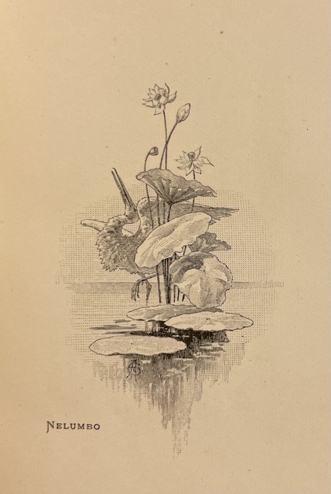 LA FONTAINE (Jean de) L'Amour et Psyché. Paris, E. Dentu (Petite Collection Guillaume), 1892. – Image 3