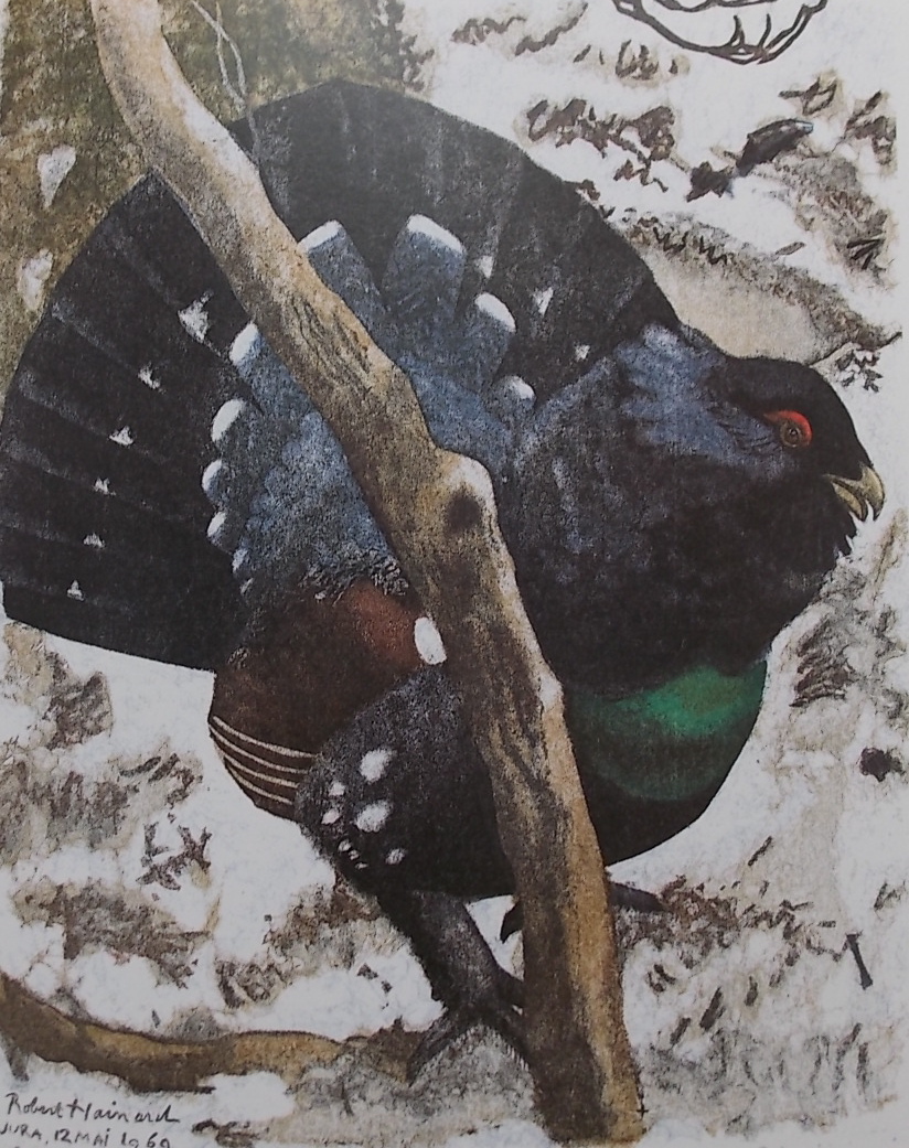 HAINARD (Robert) Images du Jura sauvage. Genève, Tribune Editions, 1983. – Image 2