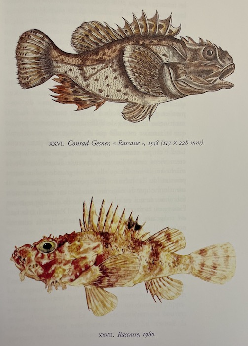 KOLB (Katharina) Graveurs, artistes et hommes de science. Essai sur les Traités de Poissons de la Renaissance. Paris, Editions des Cendres - Institut d'Etude du Livre, 1996. – Image 3