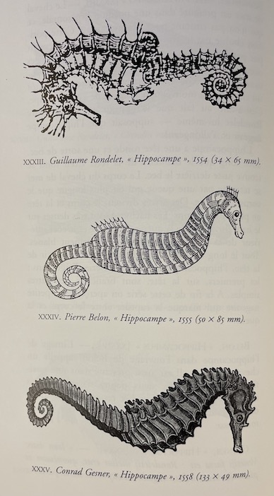 KOLB (Katharina) Graveurs, artistes et hommes de science. Essai sur les Traités de Poissons de la Renaissance. Paris, Editions des Cendres - Institut d'Etude du Livre, 1996. – Image 4