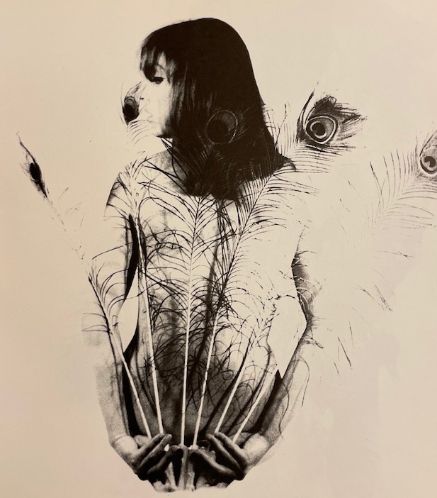 VILANDER (Ica) La Femme vue par une femme. Album de modèles. Paris, La Table Ronde, (1967). – Image 3