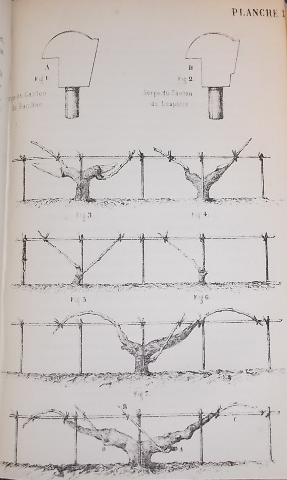D'ARMAILHACQ (Armand) De la culture des vignes , de la vinification et des vins dans le Médoc. Avec un état des vignobles d'après leur réputation. Bordeaux, P. Chaumas, 1867. – Image 3