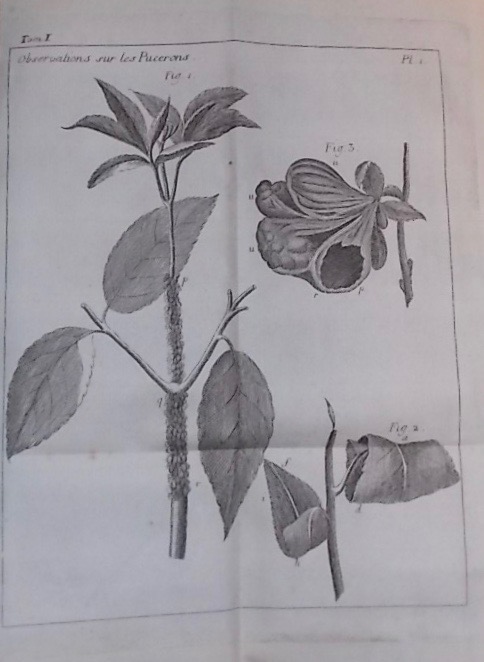 BONNET (Charles) Oeuvres d'histoire naturelle et de philosophie. Neuchâtel, chez Samuel Fauche, 1779-1783. – Image 3