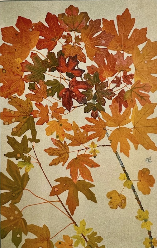 ROBERT (Philippe) Feuilles d'automne. Ried, Ph. Robert, 1909. – Image 6