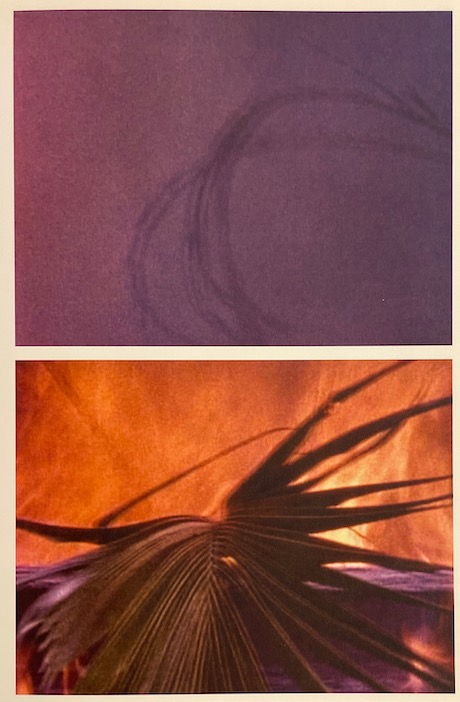 McQUEEN (Steve) Carib's Leap / Western Deep. Sans lieu, Artangel / Documenta, 2002. – Image 4