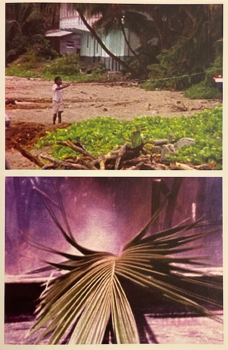 McQUEEN (Steve) Carib's Leap / Western Deep. Sans lieu, Artangel / Documenta, 2002. – Image 5