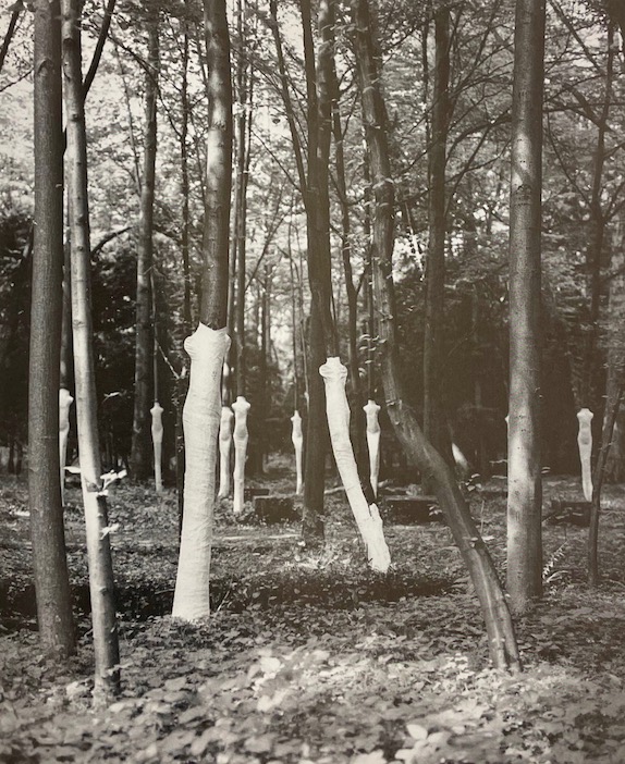 JORAY (Marcel) La sculpture moderne en Suisse IV (1966 à 1988). Neuchâtel, Editions du Griffon, 1989. – Image 6