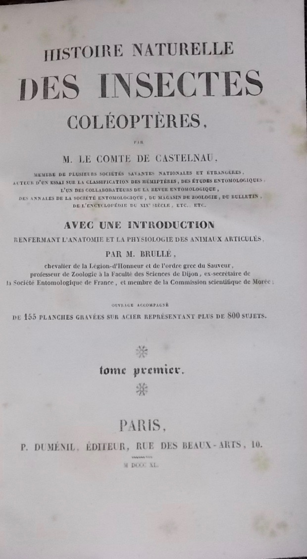 CASTELNAU (F. L.) - BLANCHARD (Emile) - LUCAS (P. H.) Histoire naturelle des animaux articulés: Histoire naturelle des insectes coléoptères (2 volumes) - Histoire naturelle des insectes orthoptères.... (1 volume) - Histoire naturelle des crustacés (1 volumes) + 2 volumes d'atlas. Paris, Duménil, 1840. – Image 4