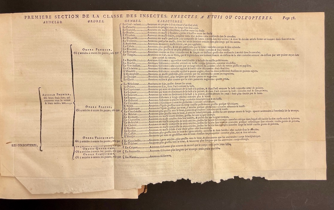 GEOFFROY (Etienne Louis) Histoire abrégée des insectes, dans laquelle ces animaux sont rangés suivant un ordre méthodique. A Paris, chez Durand, 1764. – Image 3
