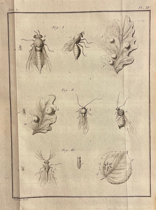 GEOFFROY (Etienne Louis) Histoire abrégée des insectes, dans laquelle ces animaux sont rangés suivant un ordre méthodique. A Paris, chez Durand, 1764. – Image 5