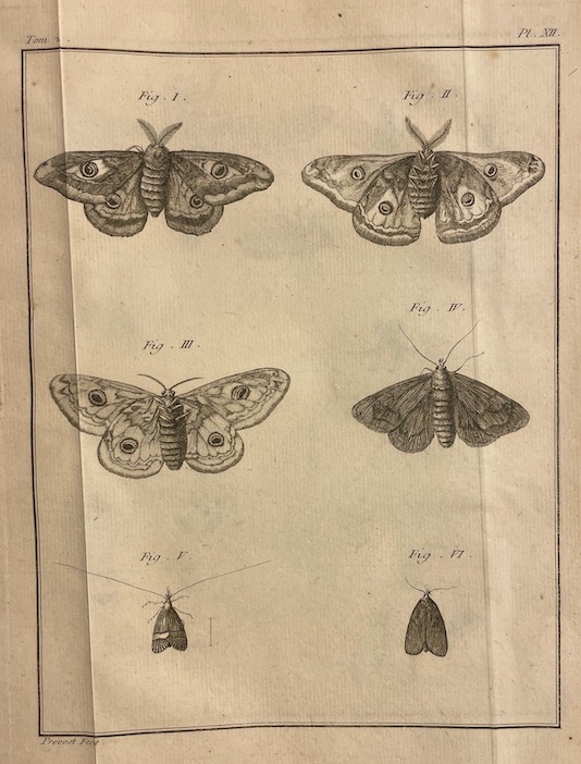GEOFFROY (Etienne Louis) Histoire abrégée des insectes, dans laquelle ces animaux sont rangés suivant un ordre méthodique. A Paris, chez Durand, 1764. – Image 6