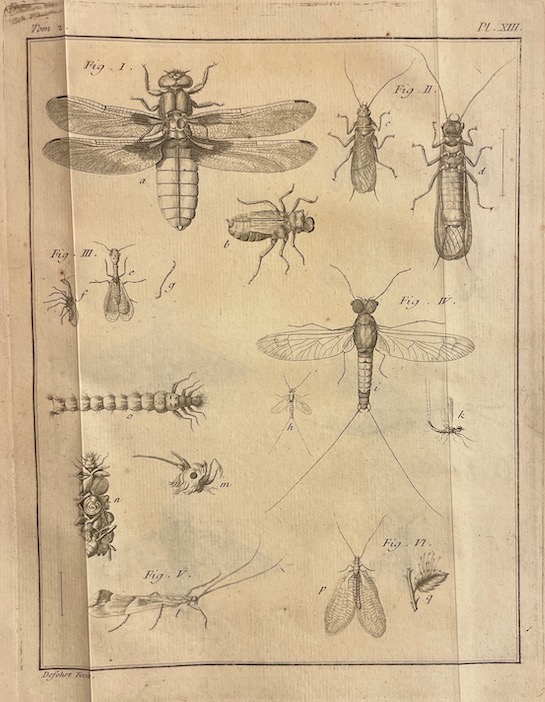 GEOFFROY (Etienne Louis) Histoire abrégée des insectes, dans laquelle ces animaux sont rangés suivant un ordre méthodique. A Paris, chez Durand, 1764. – Image 8