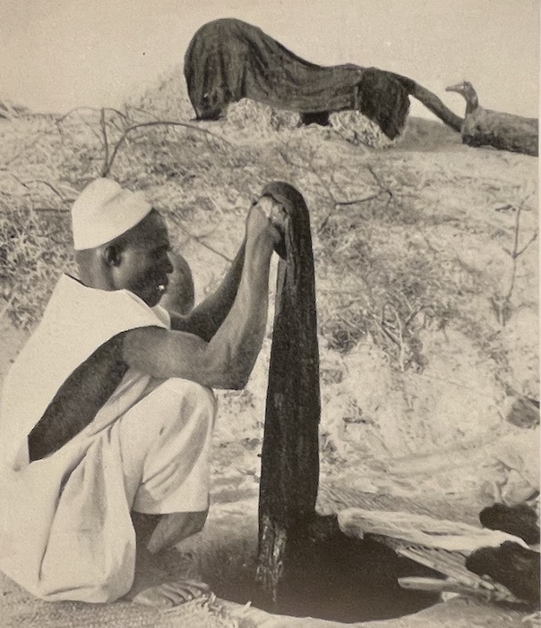 BUHLER (Jean) Sur les routes d'Afrique. De la Méditerranée au Congo. Lausanne, Payot, 1948. – Image 5
