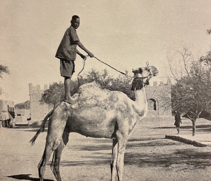 BUHLER (Jean) Sur les routes d'Afrique. De la Méditerranée au Congo. Lausanne, Payot, 1948. – Image 6