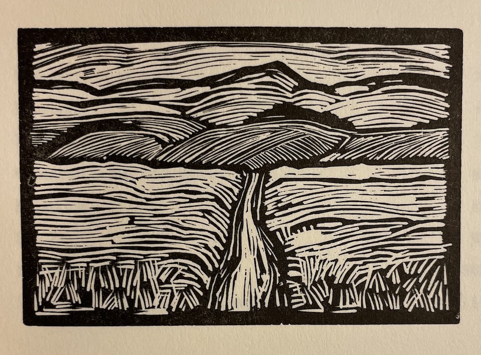 SCHMIDT (Claude). À travers la haie. Genève, Perret-Gentil, 1968. – Image 3