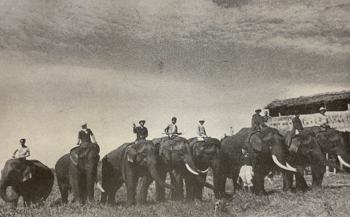 BAZE (William) Un quart de siècle parmi les éléphants. Saigon, IFOM, 1950. – Image 3