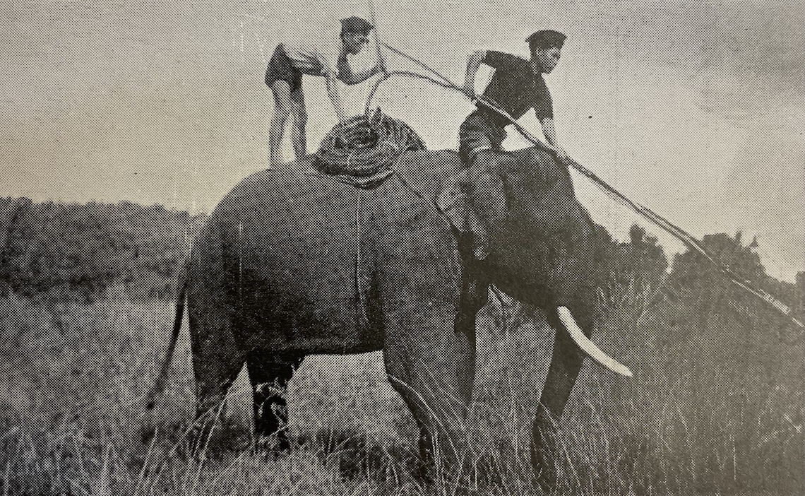 BAZE (William) Un quart de siècle parmi les éléphants. Saigon, IFOM, 1950. – Image 4