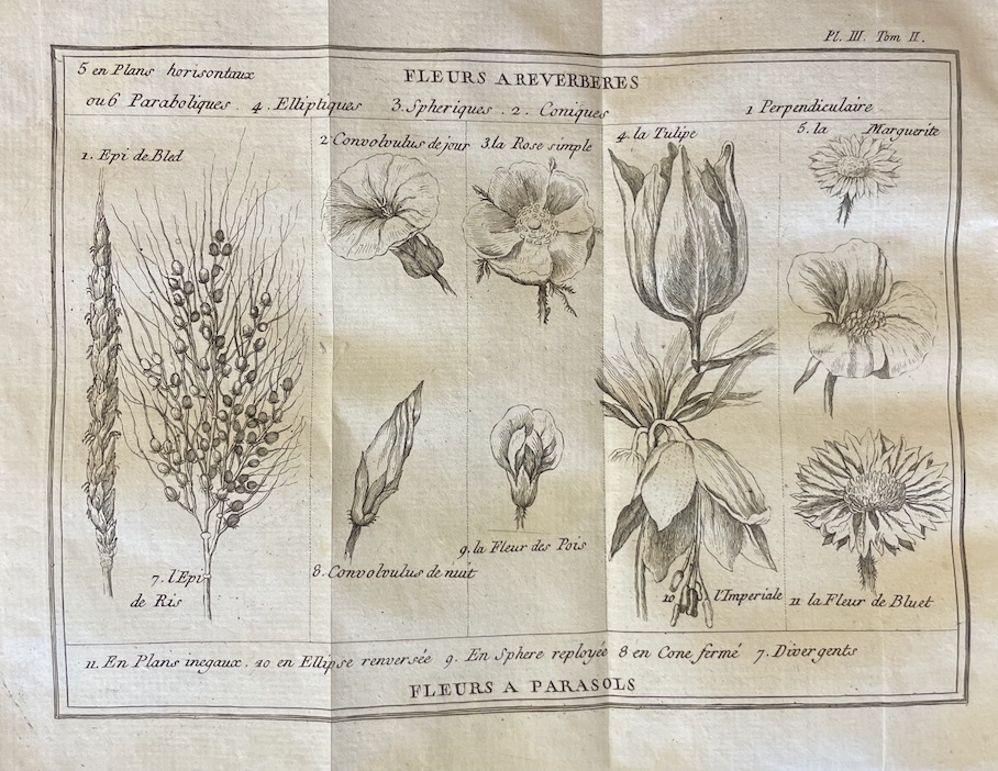 BERNARDIN DE SAINT-PIERRE (Jacques-Henri) Etudes de la Nature (Tomes I-IV). A Paris, de l'Imprimerie de Monsieur - Didot et Mequignon, 1787-1788. – Image 2