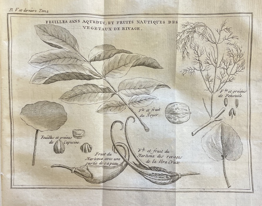 BERNARDIN DE SAINT-PIERRE (Jacques-Henri) Etudes de la Nature (Tomes I-IV). A Paris, de l'Imprimerie de Monsieur - Didot et Mequignon, 1787-1788. – Image 3