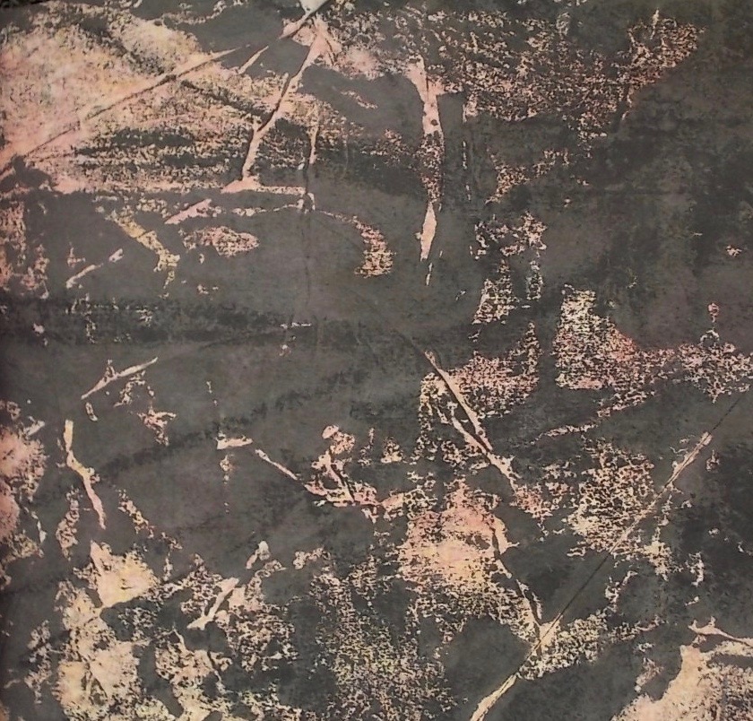 PAGNI (Claire) Dans le jardin de Claire Pagni. Neuchâtel, L'Atelier du Clairon, 2018. – Image 3